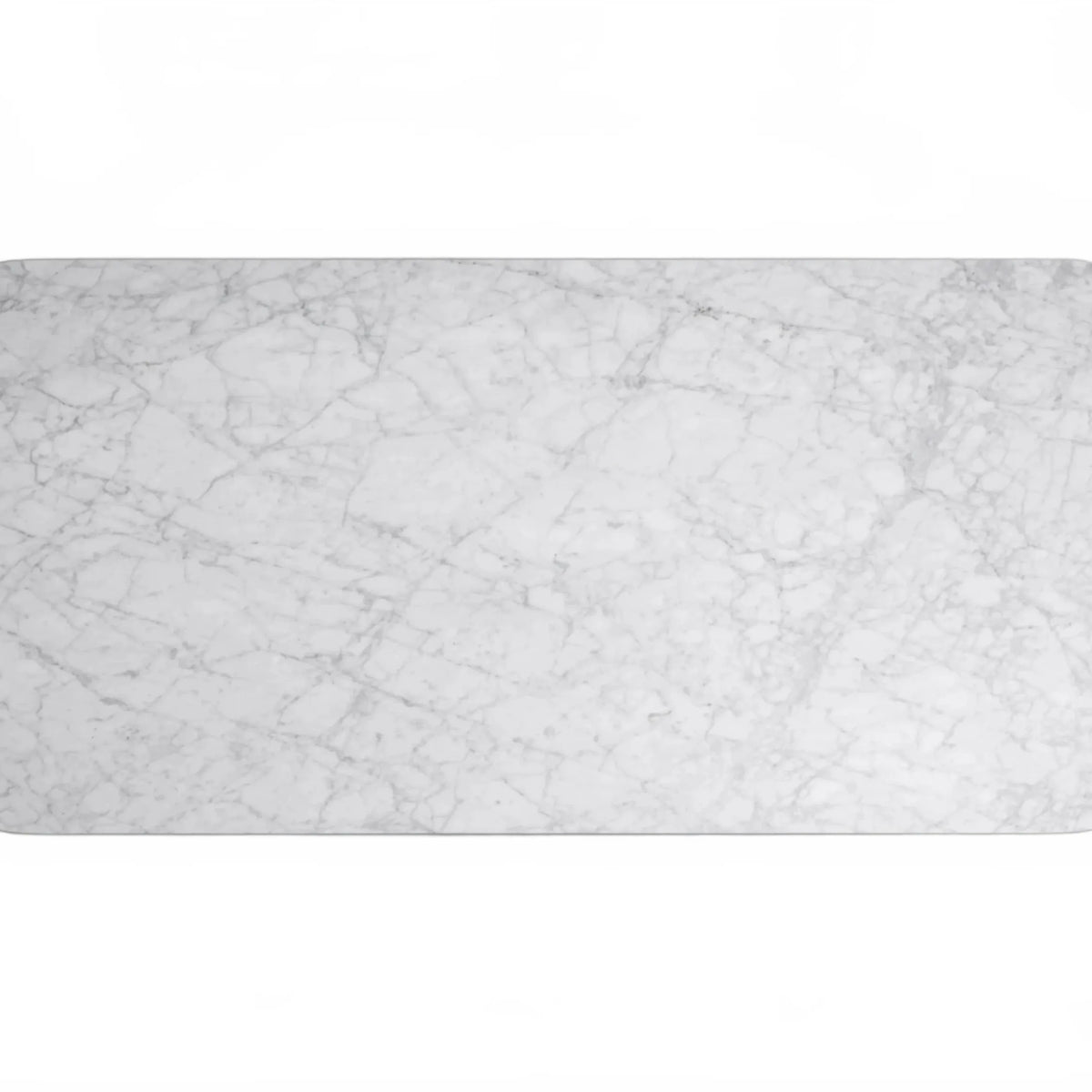 Rolphin Coffee Table