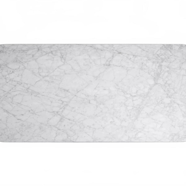 Rolphin Coffee Table