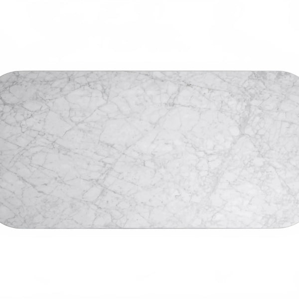 Rolphin Coffee Table