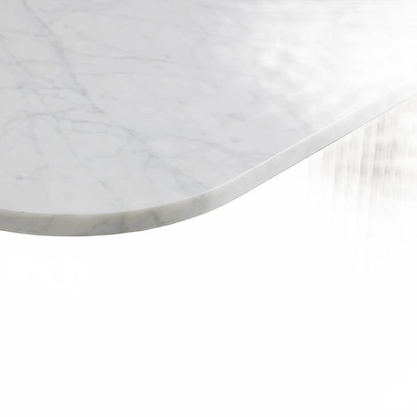 Rolphin Coffee Table