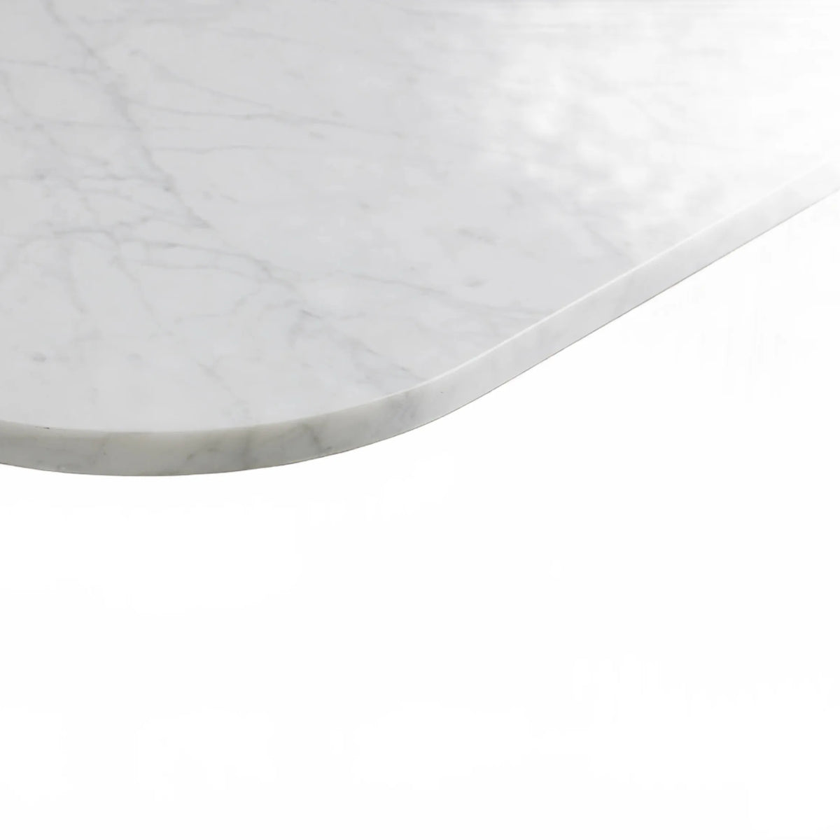 Rolphin Coffee Table