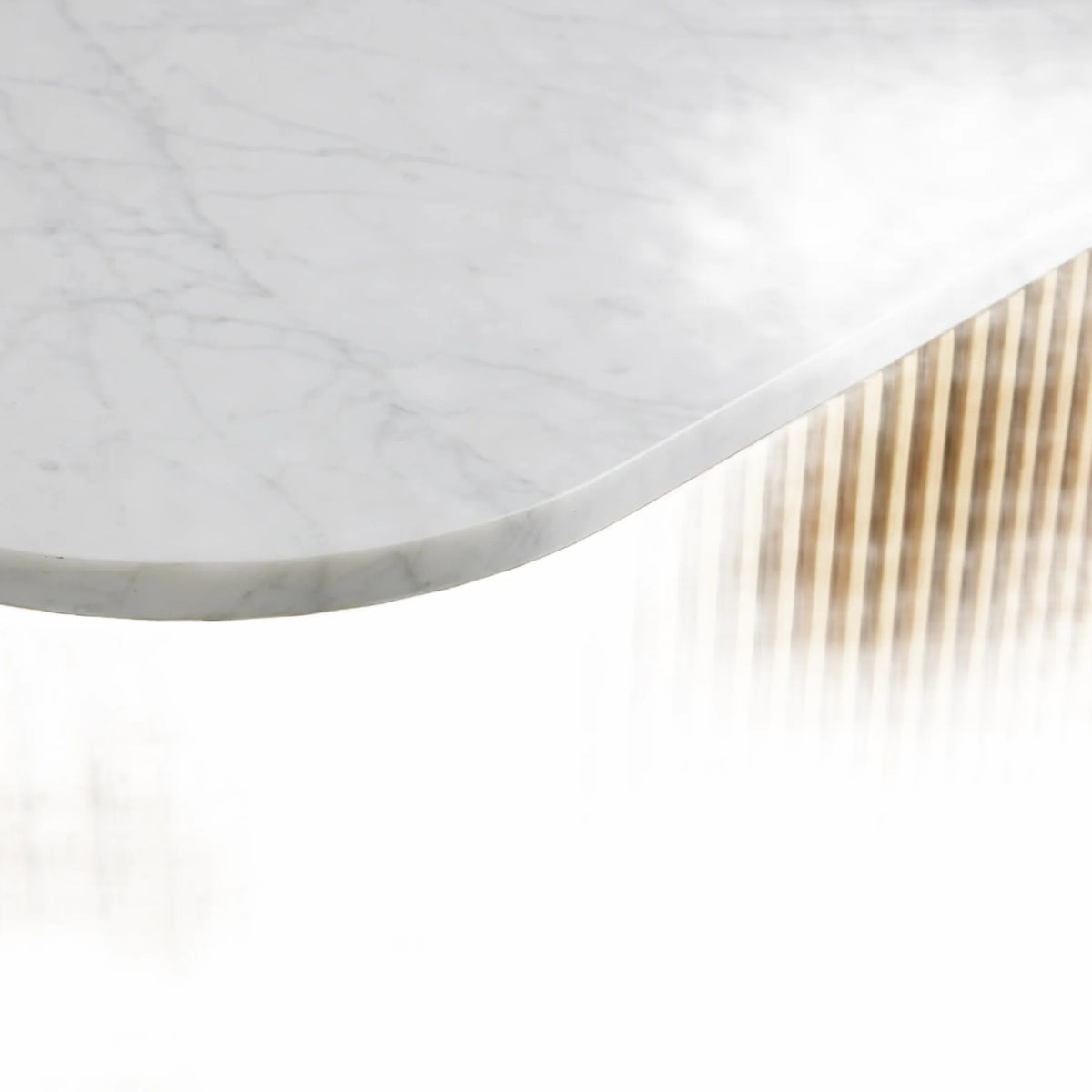 Rolphin Coffee Table