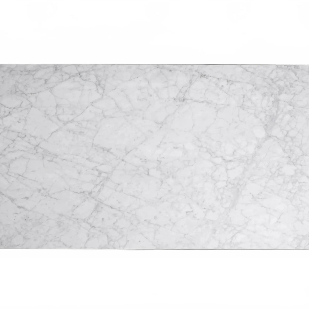 Rolphin Coffee Table